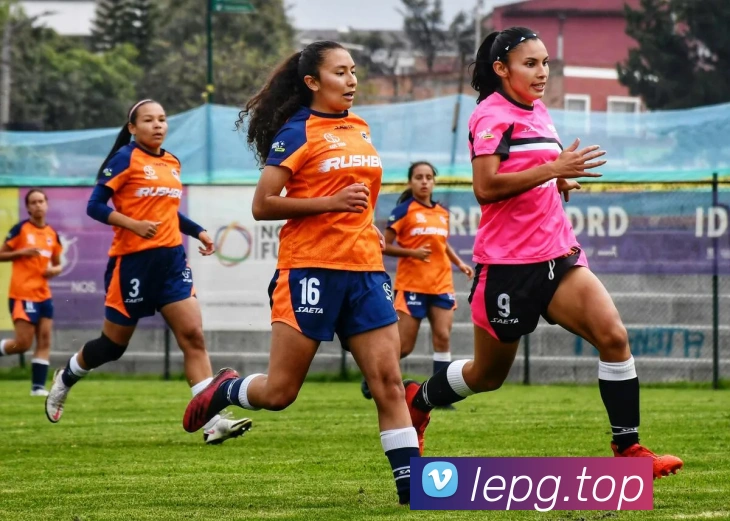 App Interface Preview